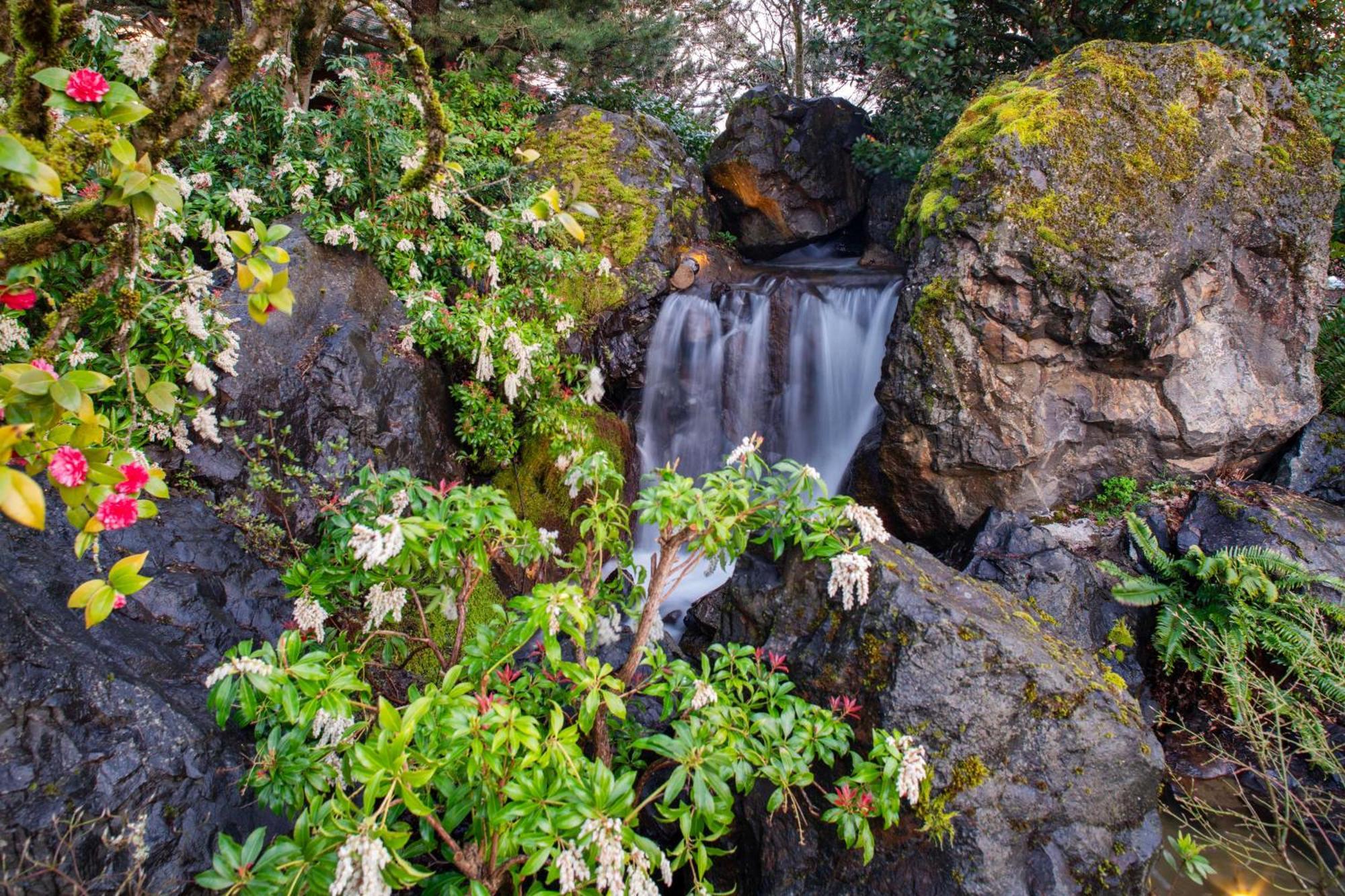 Western Premier Boulder Falls Lebanon